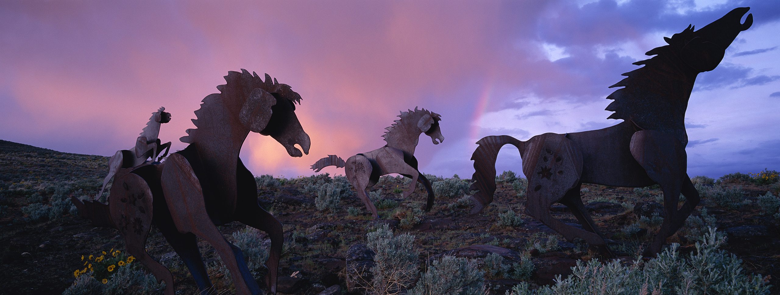 JS XPan Wild Horses Monument px