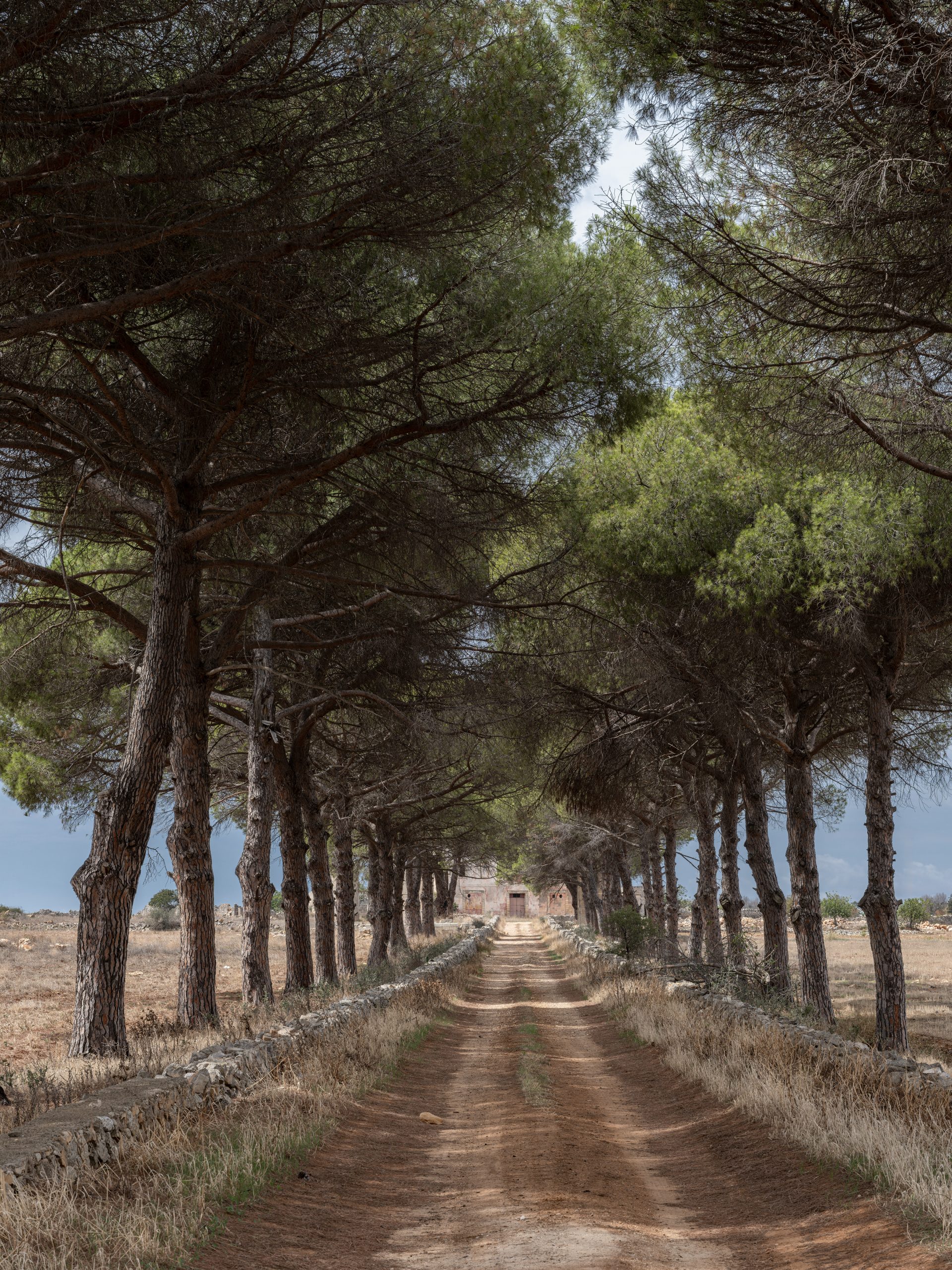 alan johnston composition South of Lecce, Puglia, Italy