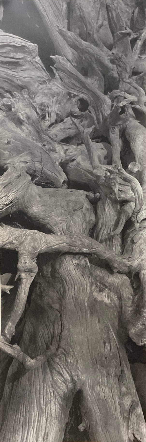 nancy jacob composition