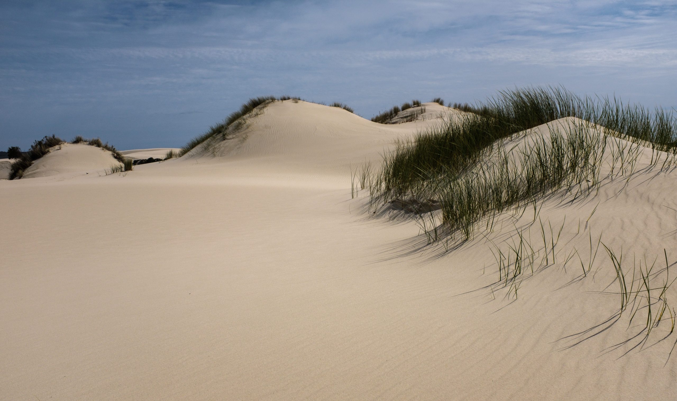 peter campbell composition Yeagarup dunes