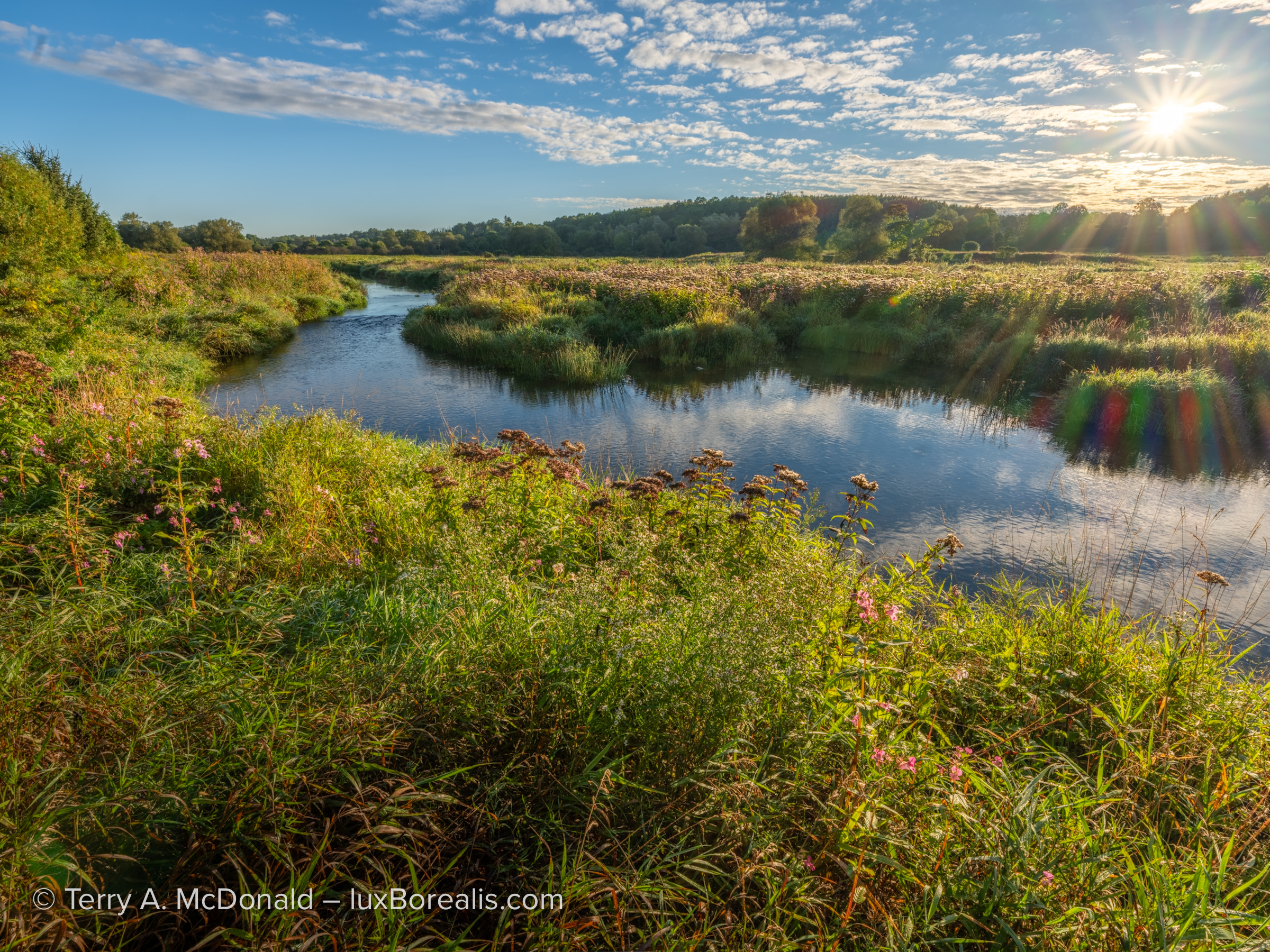 Landscape photograph of a summer sunrise over the Grand River, captured with a Fujifilm GFX 100S II.