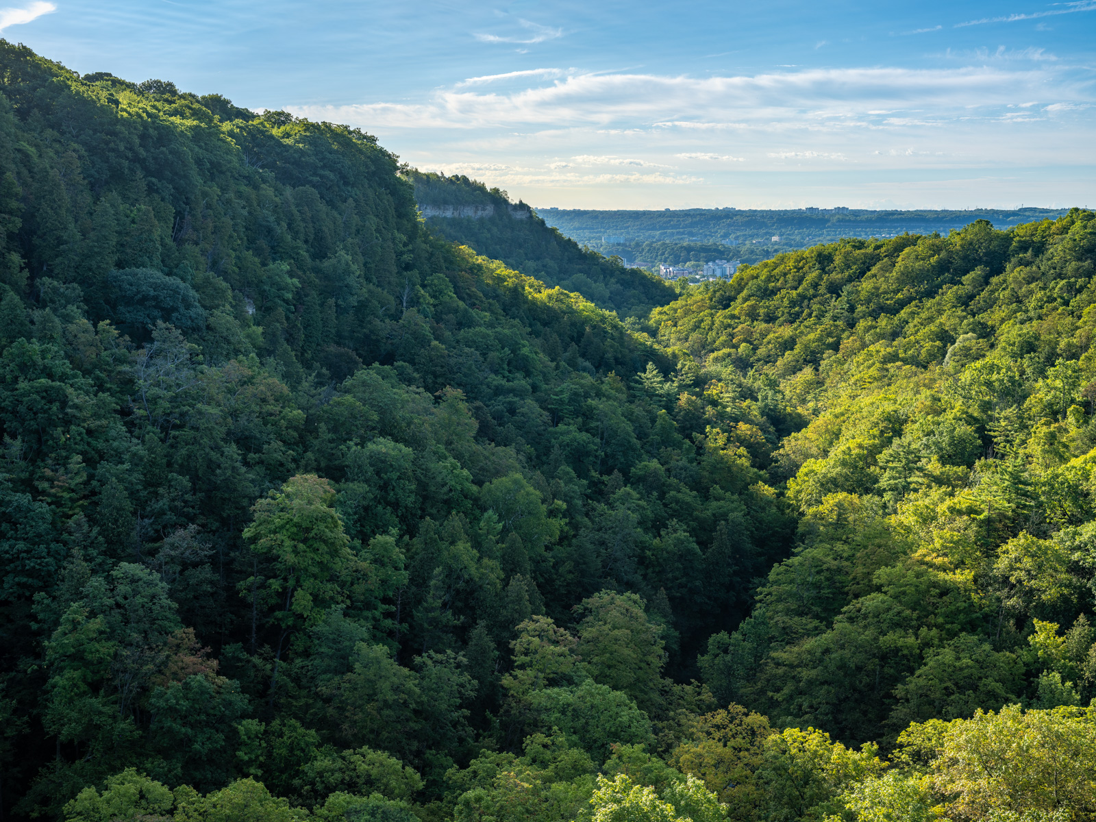 Fujifilm GFX 100S II landscape photograph of Spencer Gorge in Hamilton, Ontario.