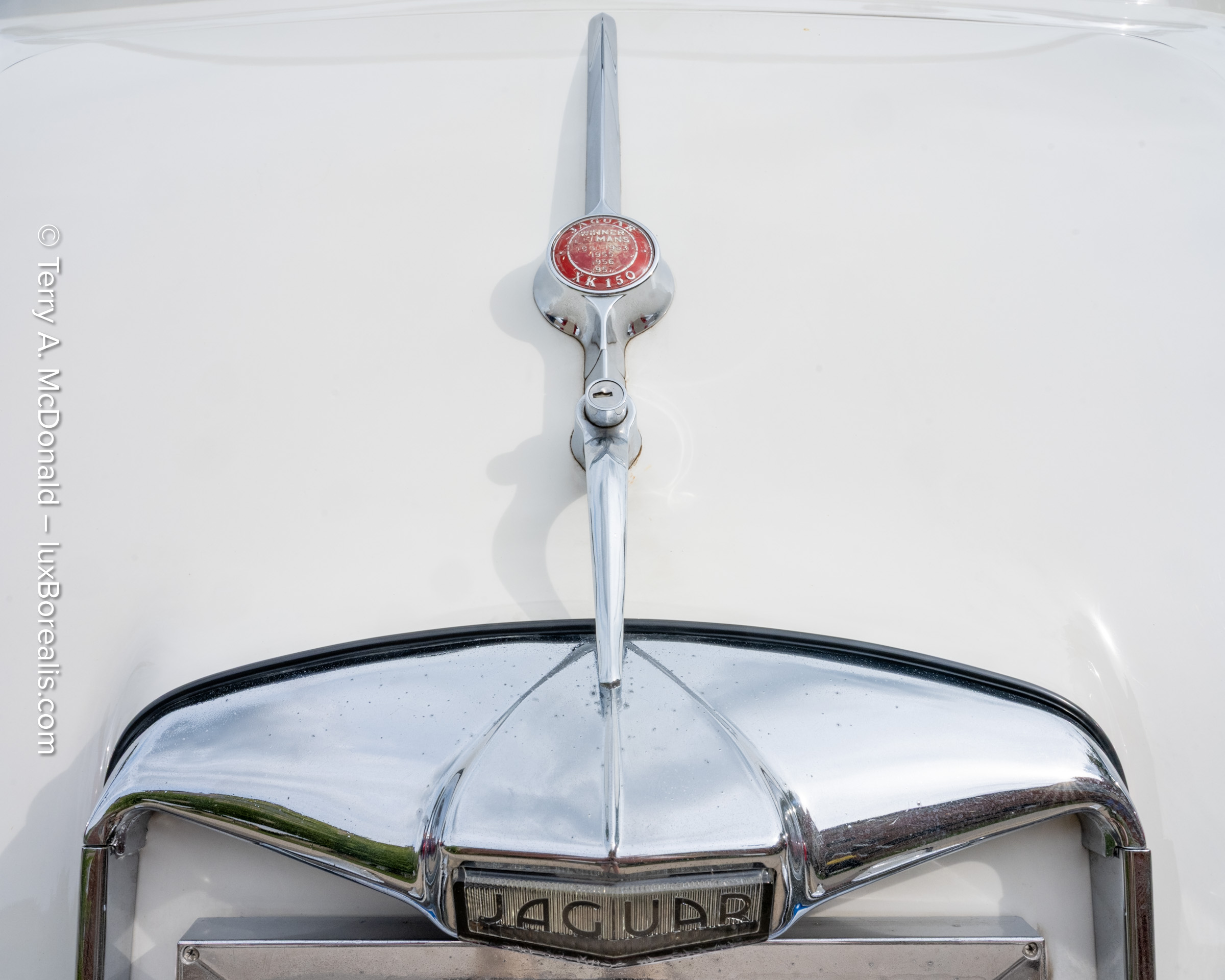 Detailed photograph of a 1959 Jaguar XK 150 bonnet captured with a Fujifilm GFX 100S II.