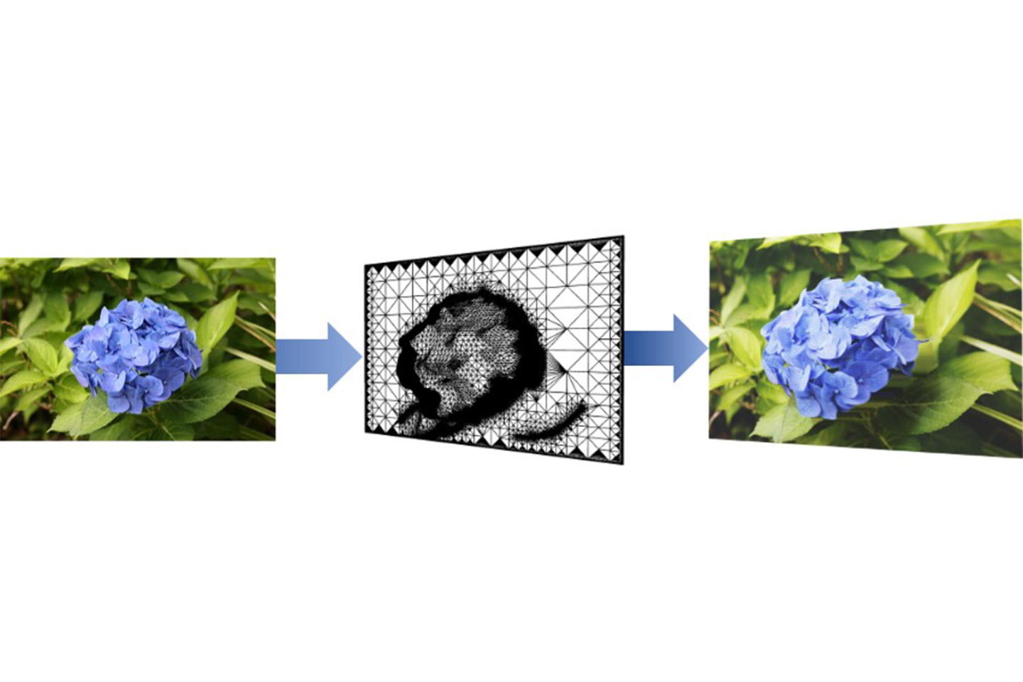 Canon Dual Pixel 3D conversion from flower photo to 3D model
