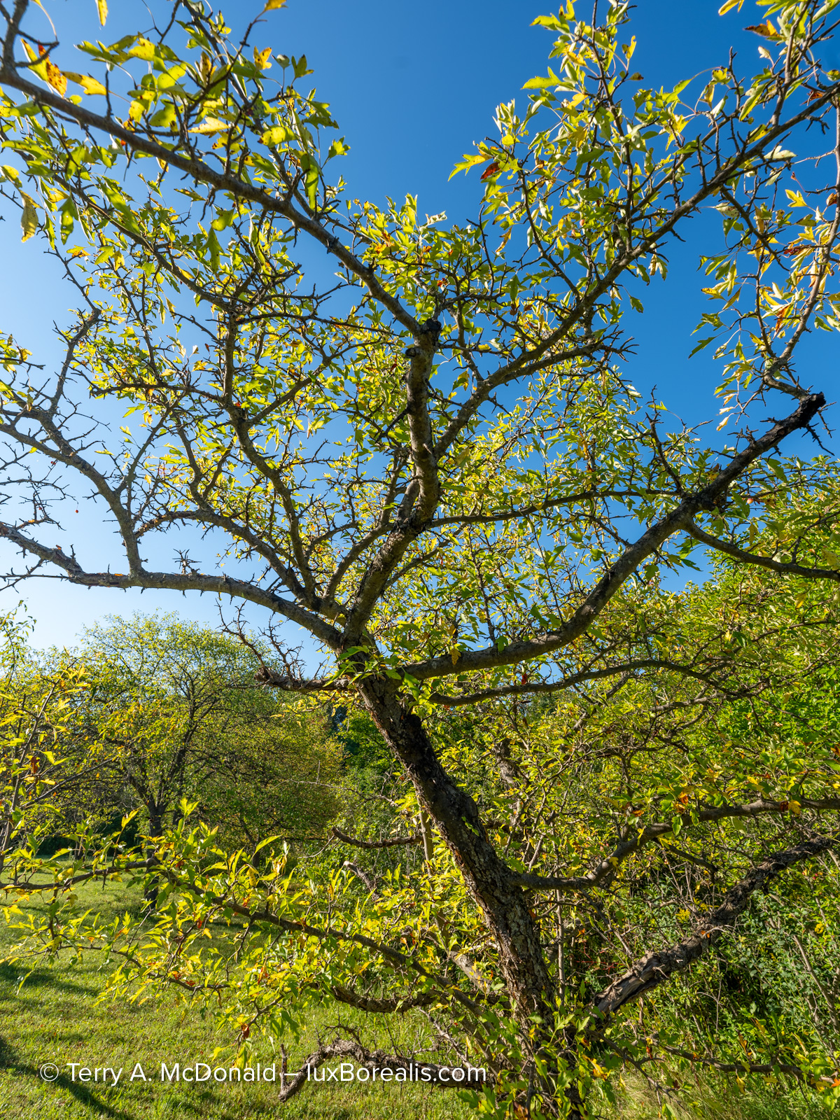 Fujifilm GFX 100S II landscape photograph captured with a Fujinon GF 20-35mm lens.