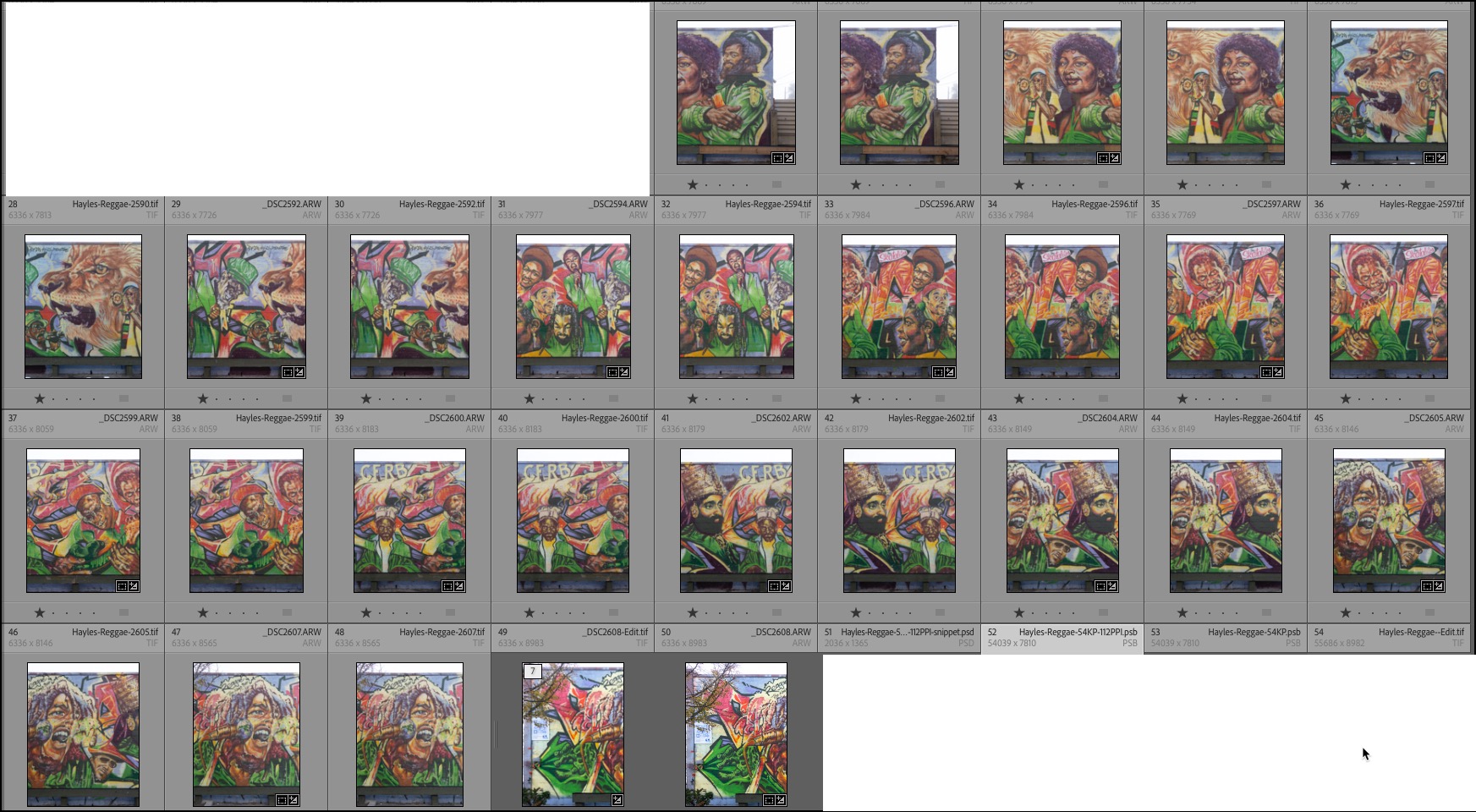 Vertical photo array used to create a panorama of the Reggae mural