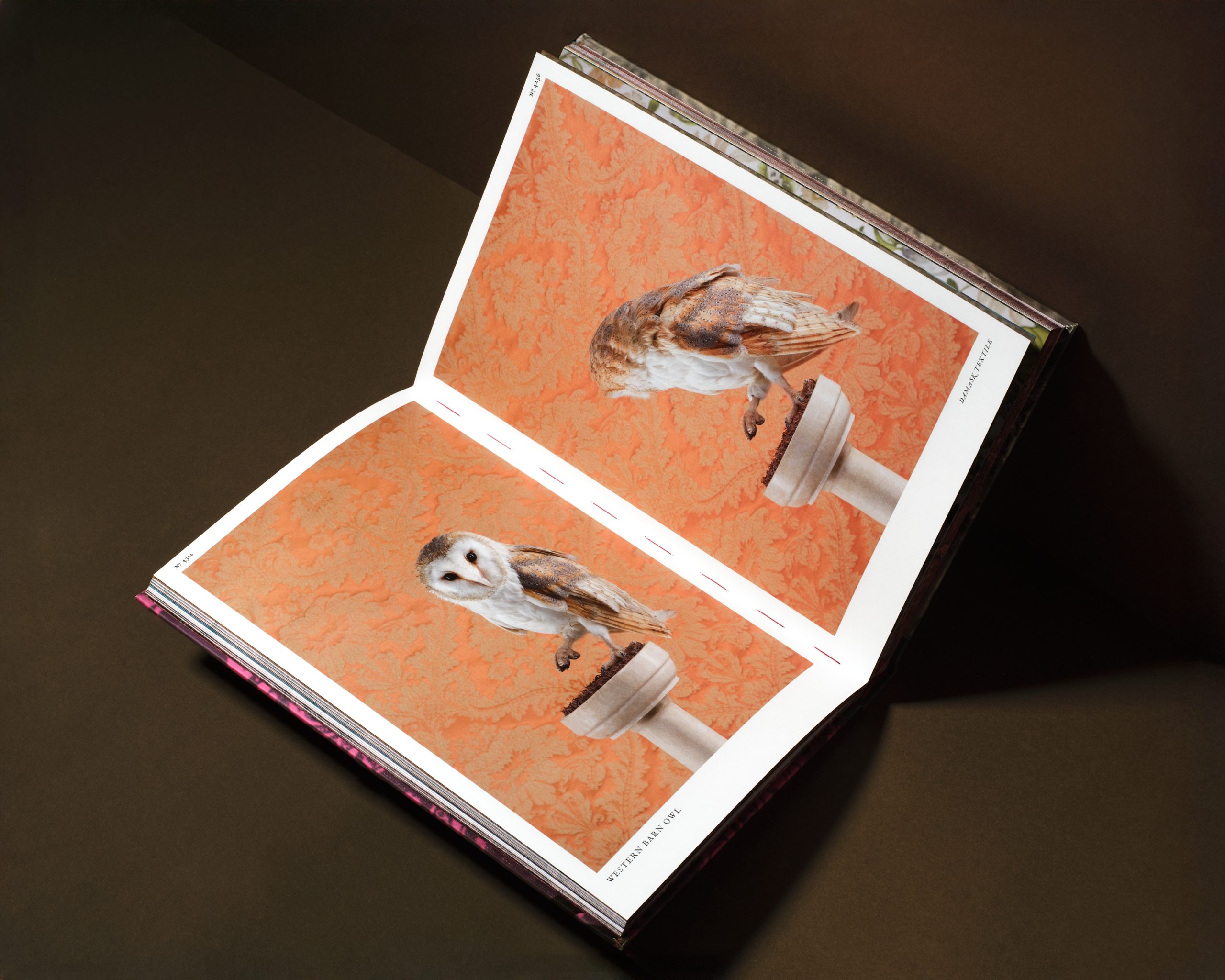 Open book featuring photographs of birds against an orange patterned background