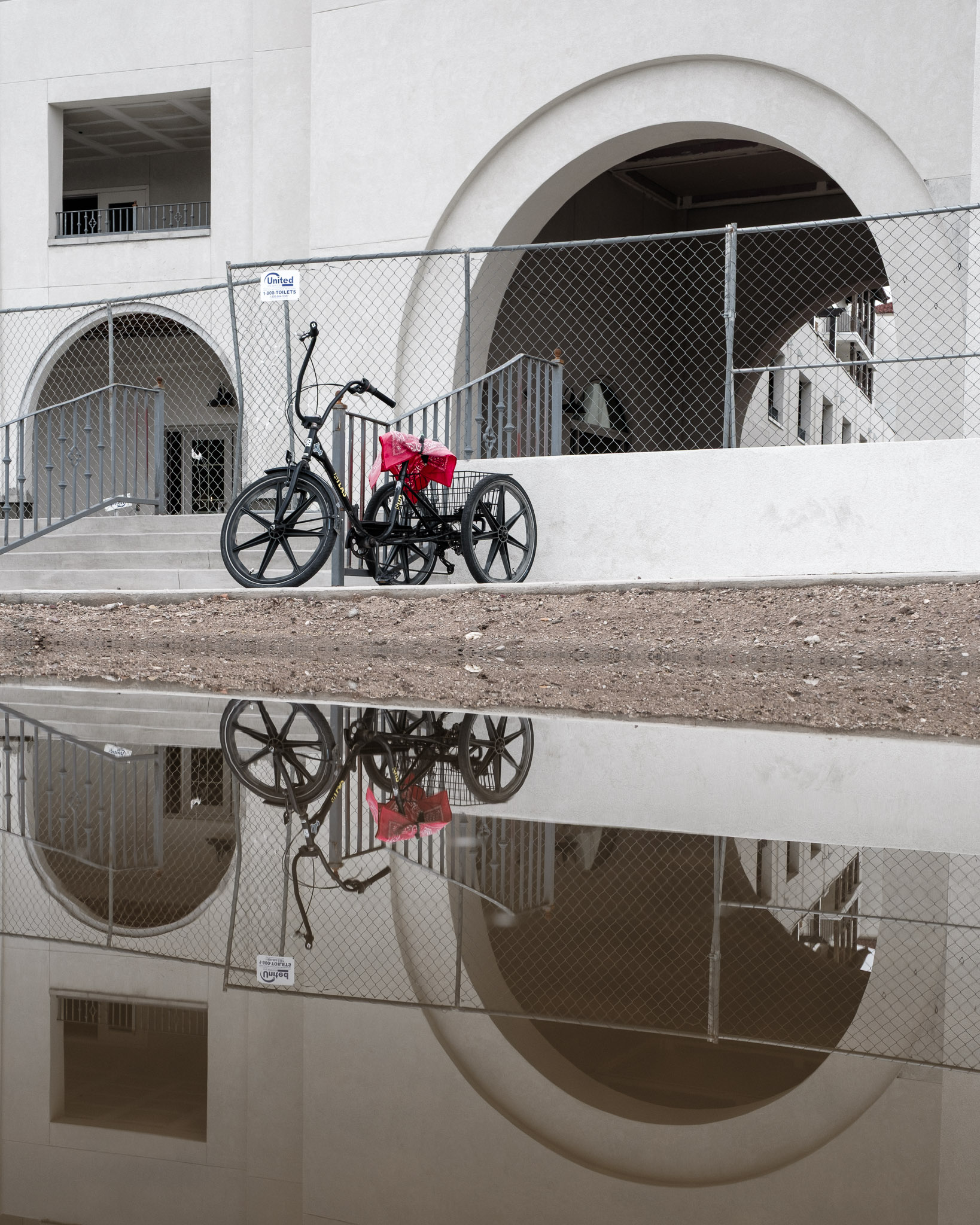 bob demers reflections