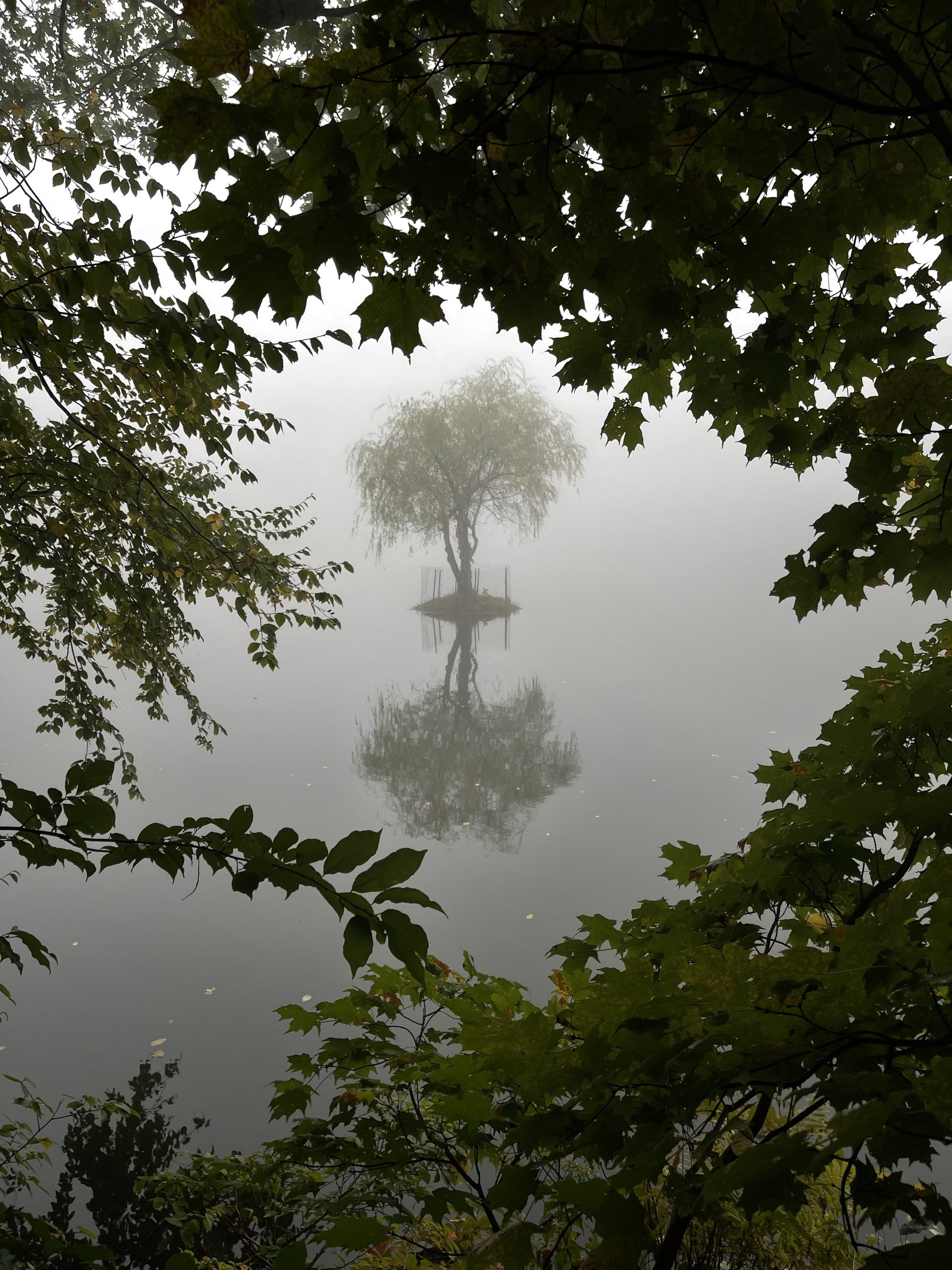carl blesch reflections