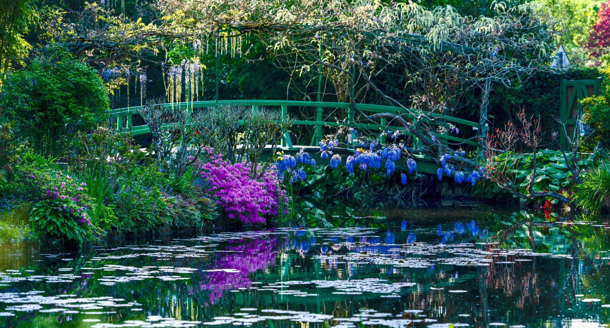 curt steyers reflections GivernyPond