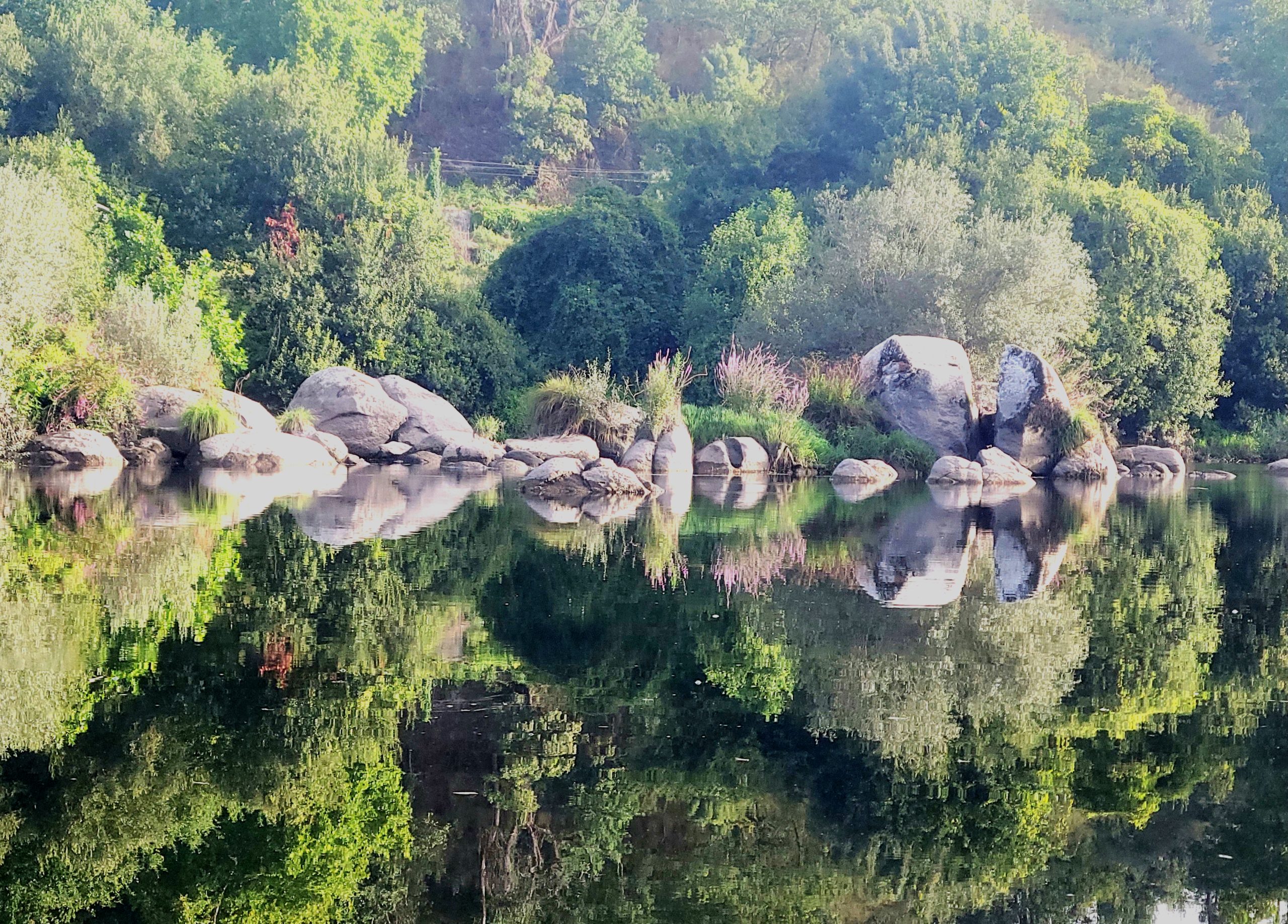 hans ernst reflections
