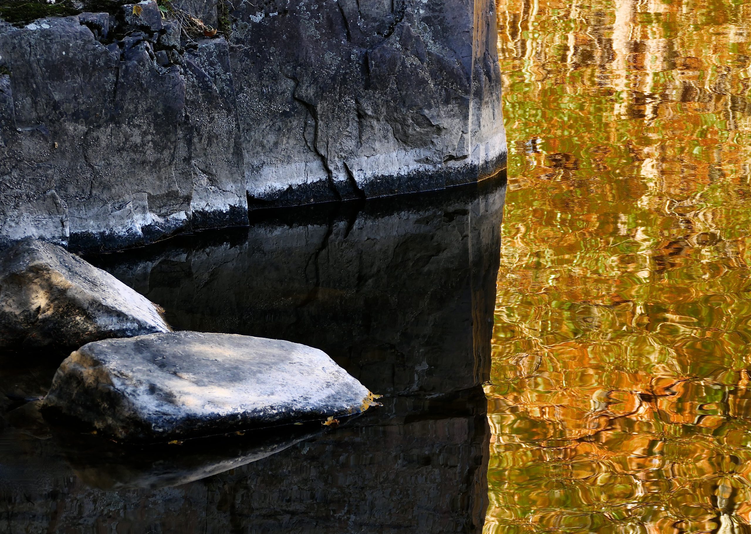 hans schmitt reflections L