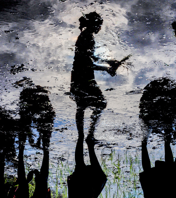 jim spillane reflections Nepal Silhouette x Canson ACR