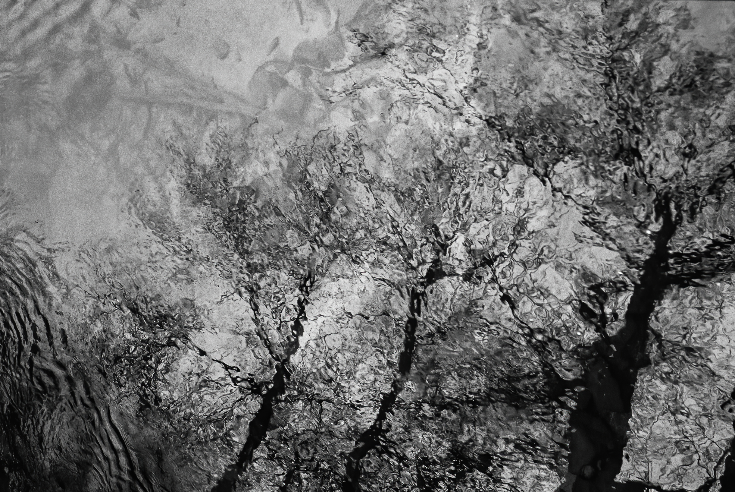 kip paterson reflections yosemite water trees