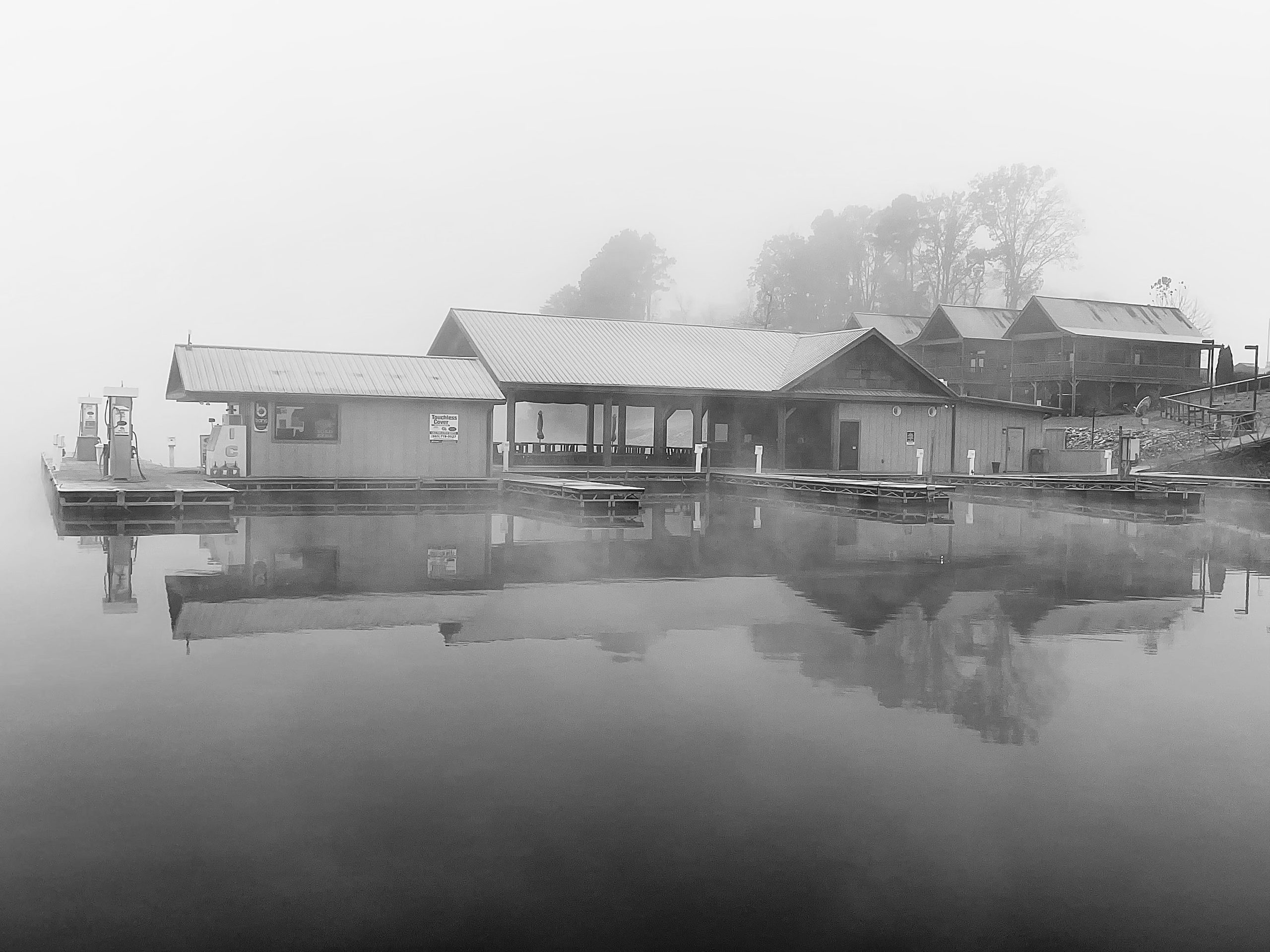 lynn carter reflections