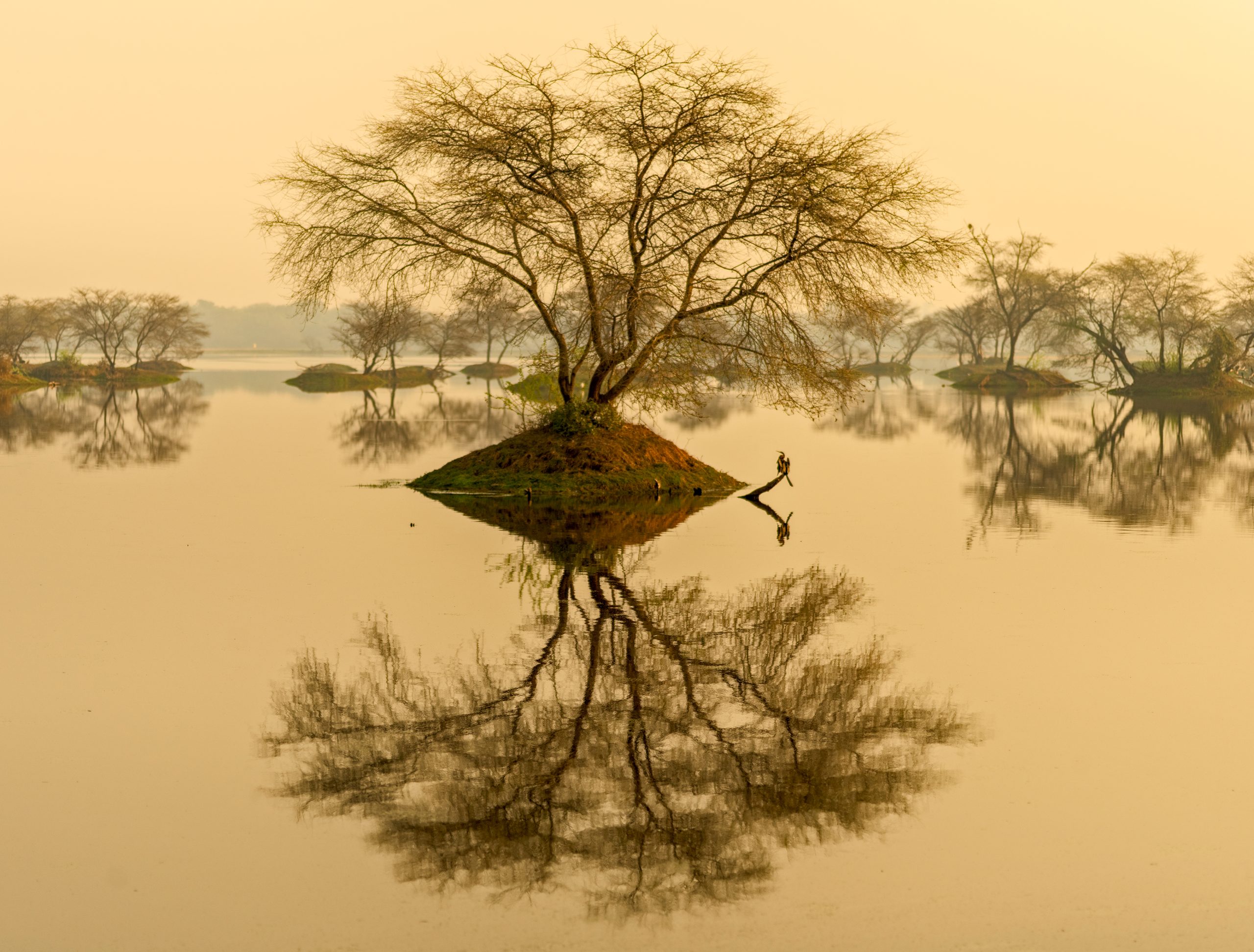 Bharatpur