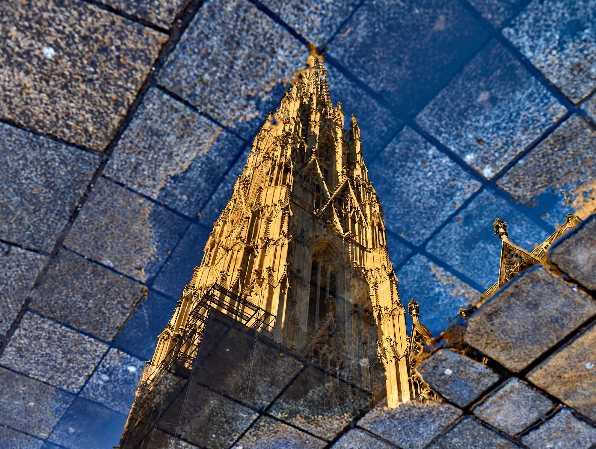otto m reflections