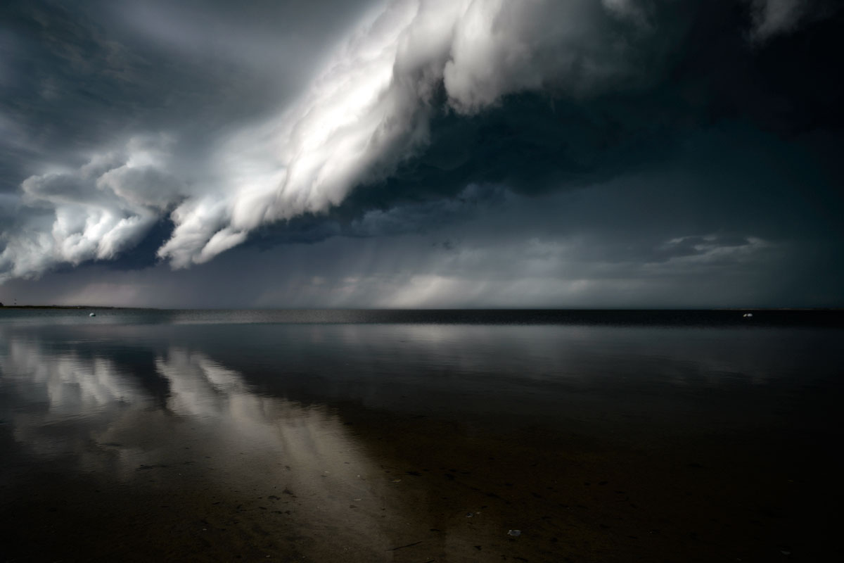 robert levy reflections