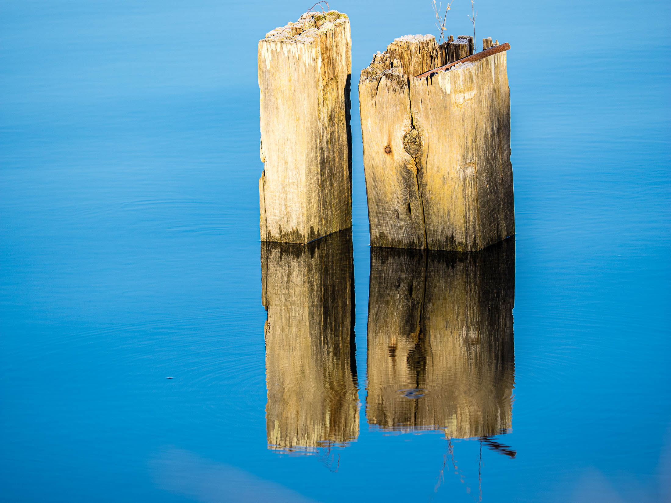 Remnant Little Qualicum Estuary