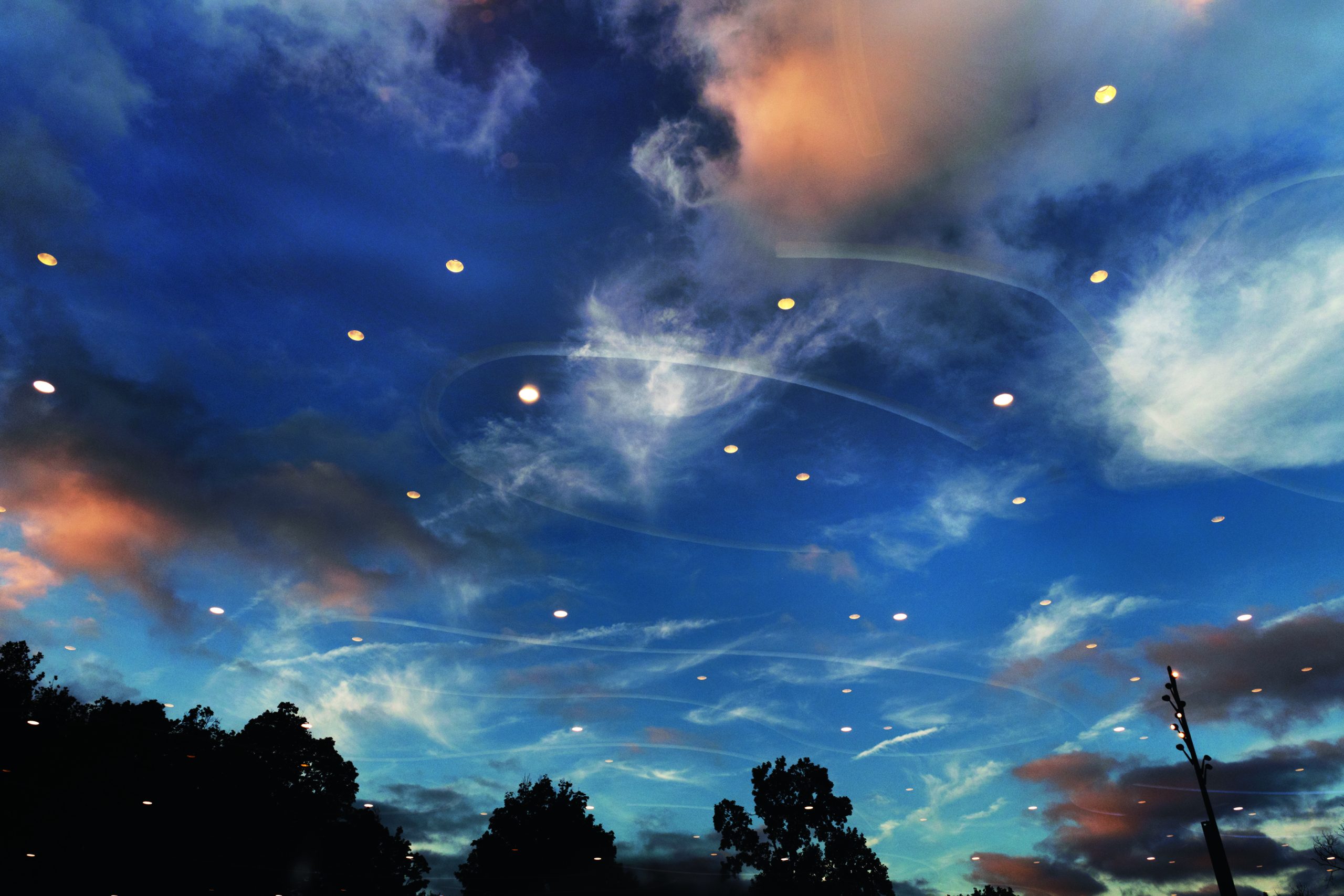 Rebecca norris webb shimmering prospect park