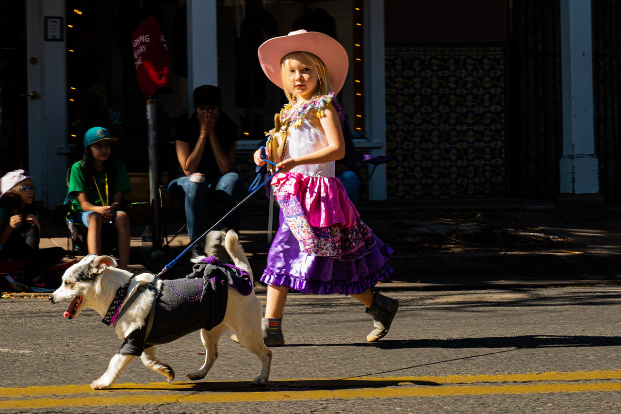 clifford ando light gesture color Santa Fe NM Pet Parade