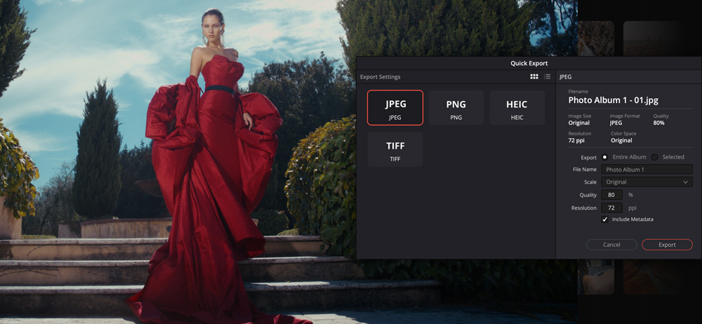 DaVinci Resolve 21 Quick Export panel showing JPEG, PNG, HEIC, and TIFF photo export options