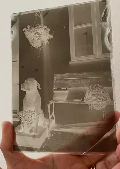 eileen white intrepid glass slide width format webp