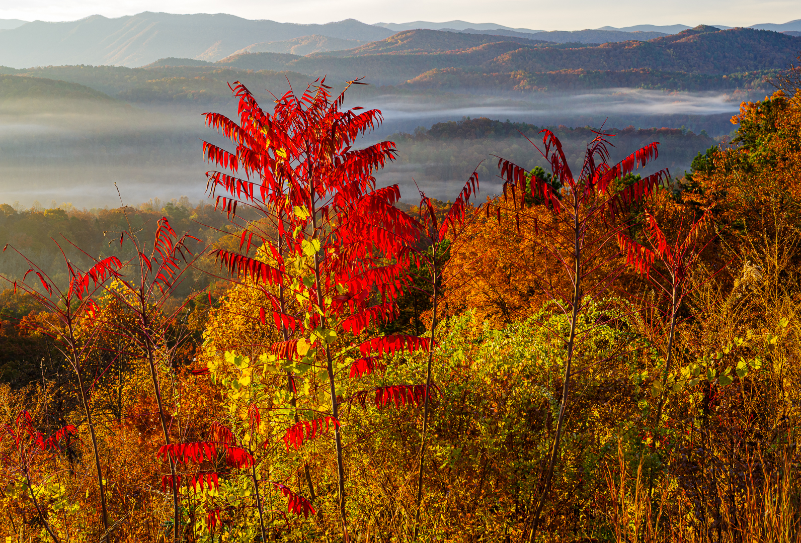 mike rank ligh gesture color Smokies Sunrise