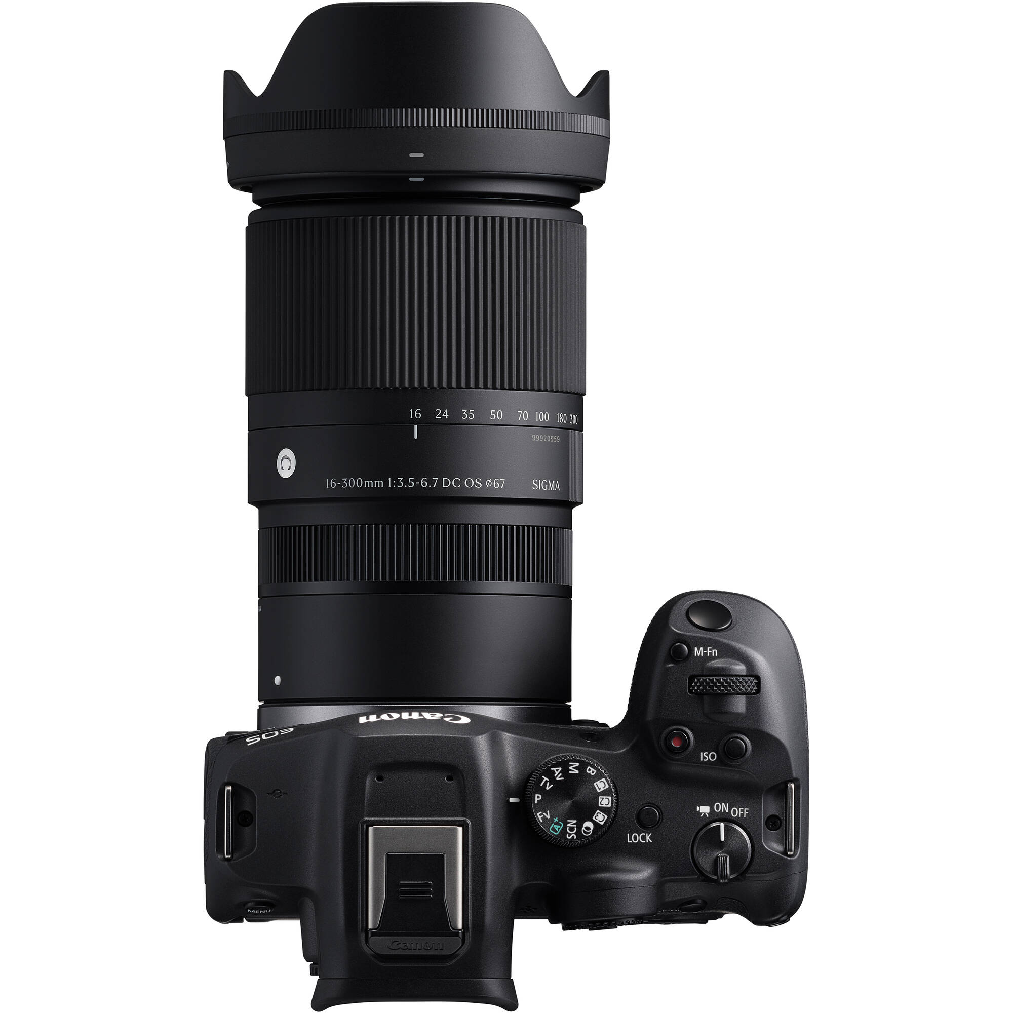 Sigma 16-300mm F3.5-6.7 lens mounted on a Nikon Z50 II camera